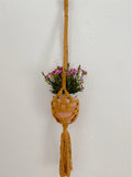 Macrame Plant Hanger with pink pot