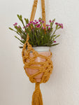 Macrame Plant Hanger with pink pot